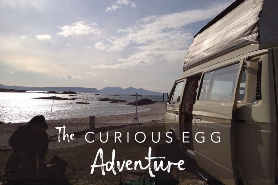 The Curious Egg Adventure