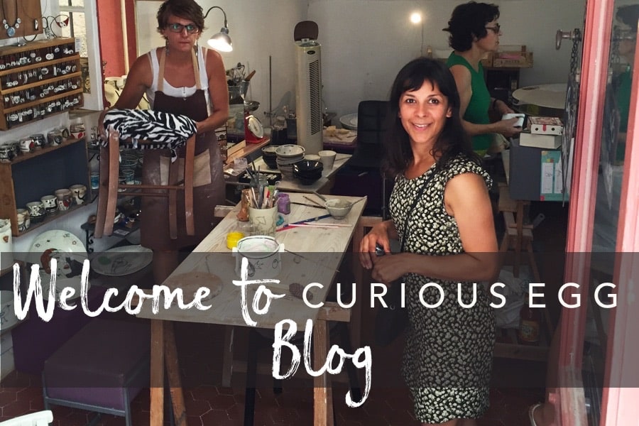 Welcome to Curious Egg blog!