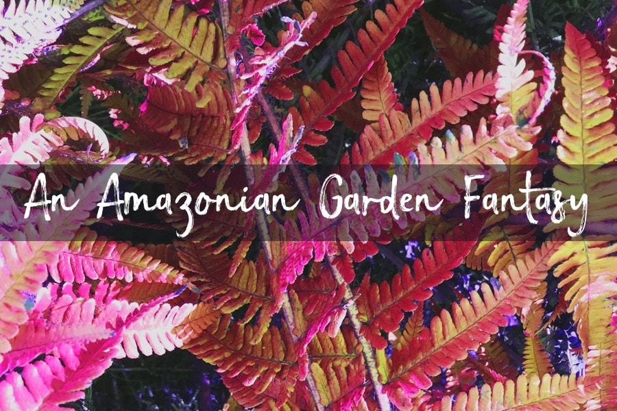 An Amazonian Garden Fantasy