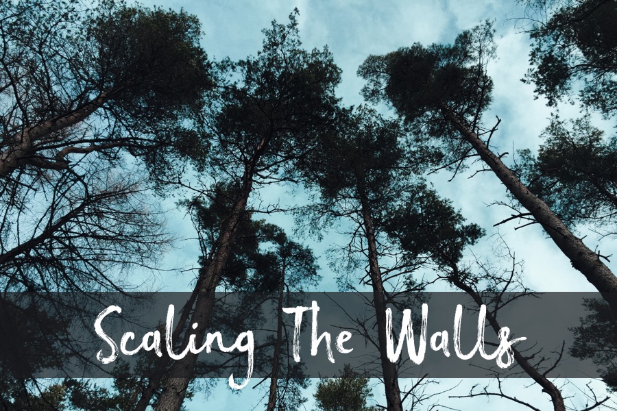 Scaling the Walls