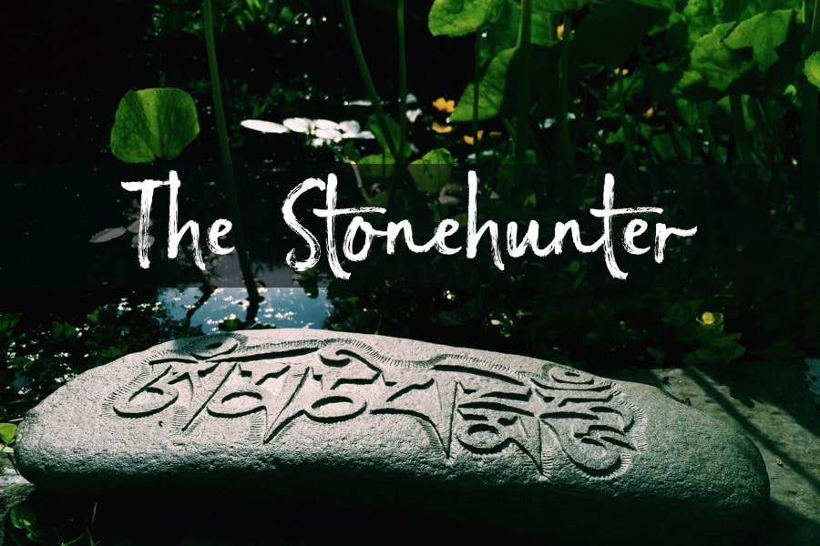 The Stone Hunter