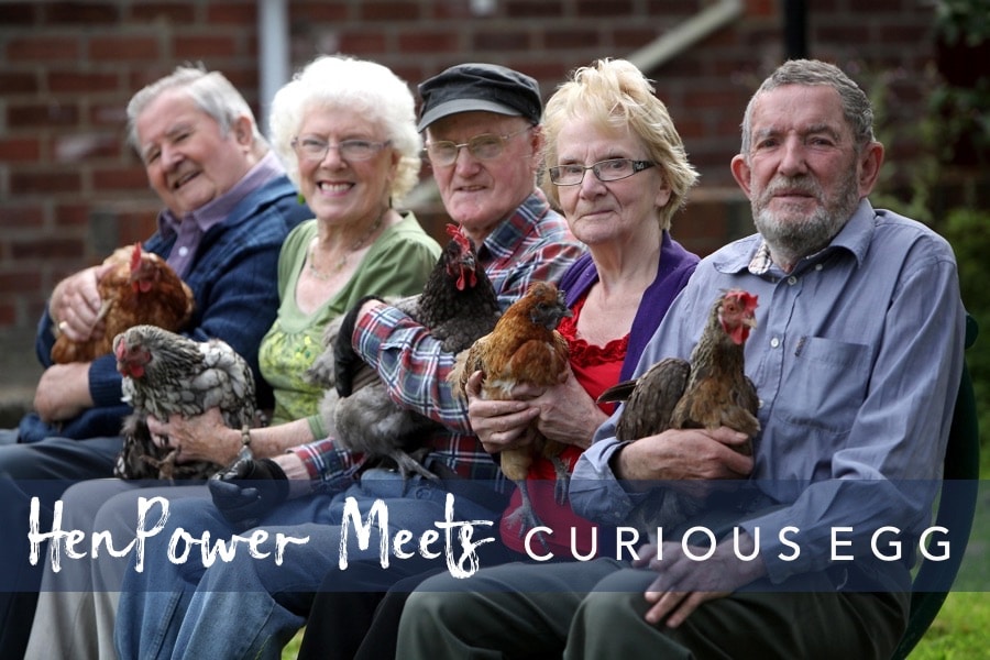 HenPower meets Curious Egg