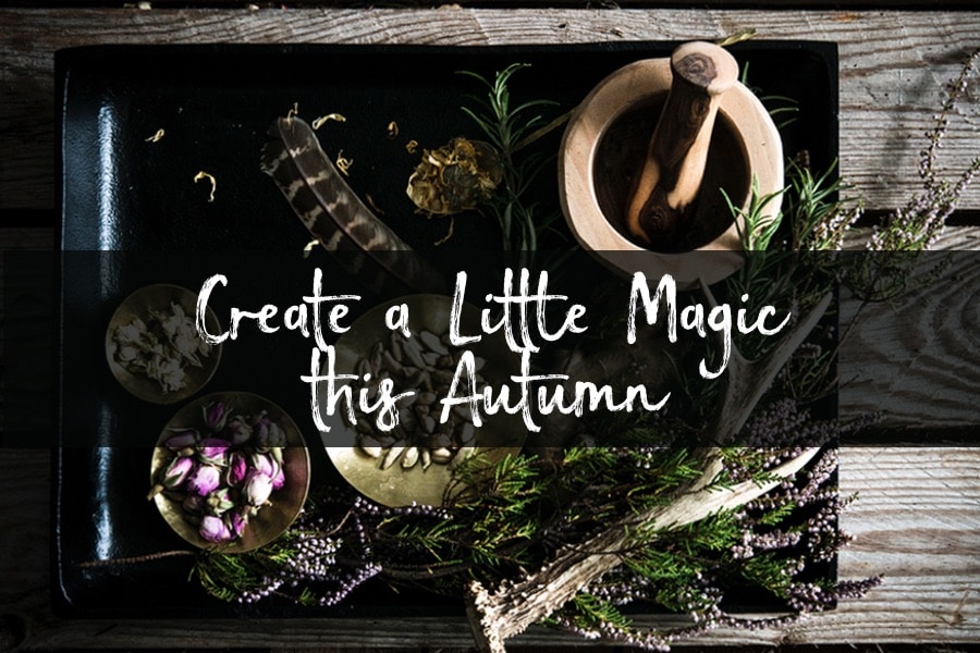 Create A Little Magic This Autumn