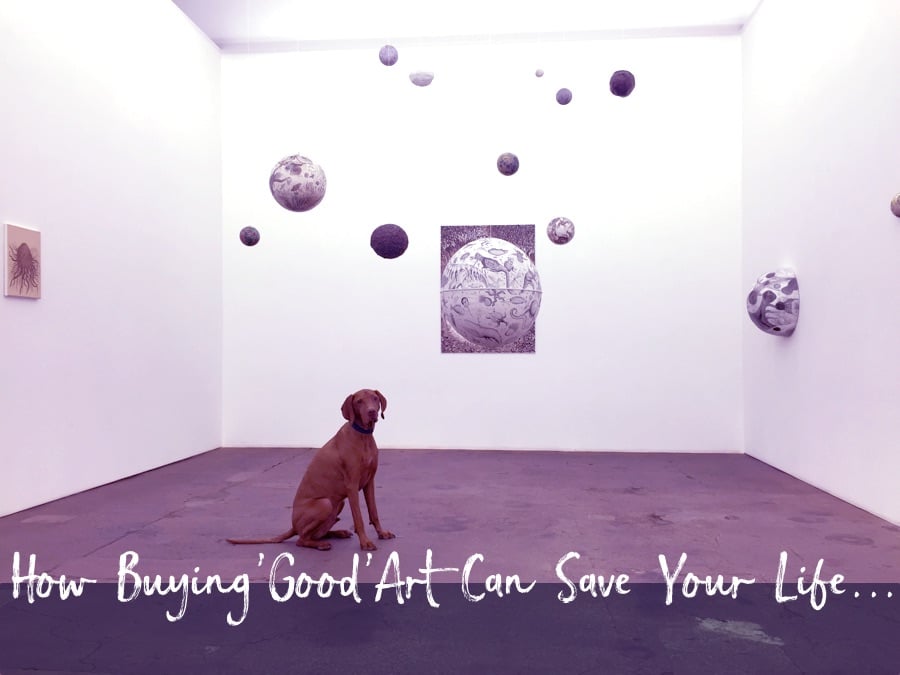 image of a dog in an art gallery